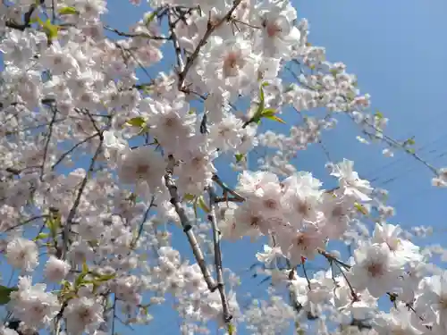 平潟神社(新潟県)