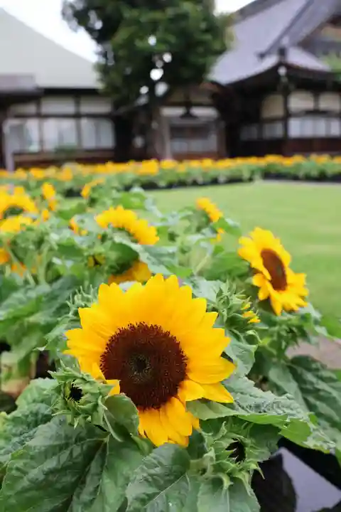 正泉寺(神奈川県)