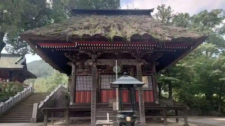 達磨寺(群馬県)