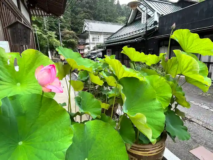 持寳院(多気山不動尊)(栃木県)