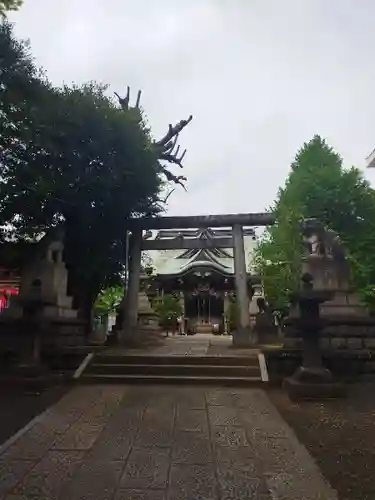 諏訪神社(東京都)