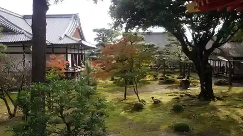 大覚寺(京都府)