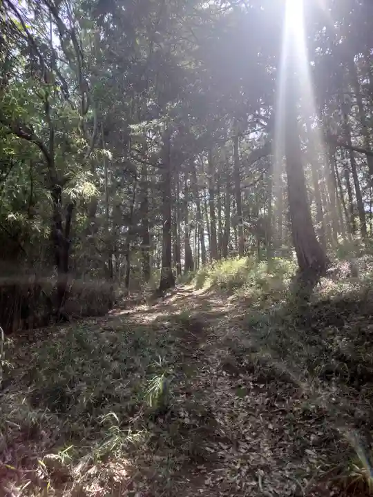 八幡神社(埼玉県)