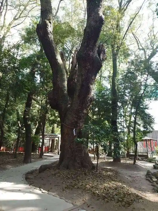 生田神社(兵庫県)