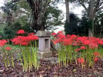 金蔵院(千葉県)