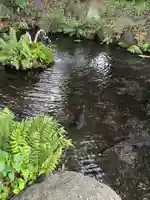 秩父今宮神社(埼玉県)