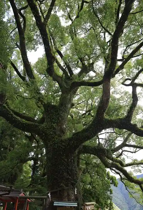 熊野那智大社(和歌山県)