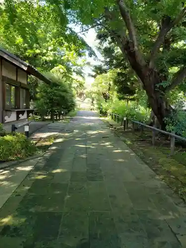 源光寺（回向院市川別院）のその他建物