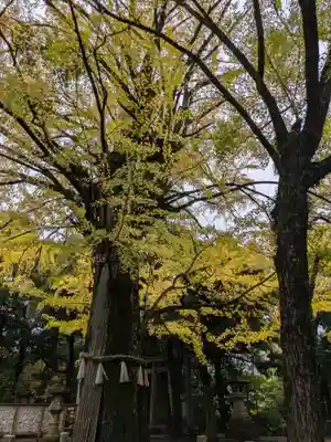 赤坂氷川神社(東京都)