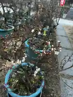 蒲田神社(大阪府)