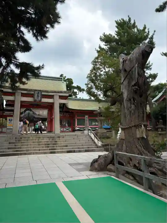 住吉大社(大阪府)