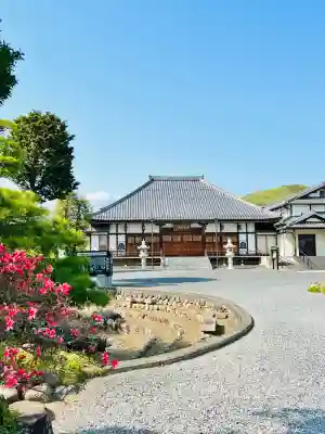金蔵院（観音寺）の{uncategorized: "未分類", other: "その他", undefined: "問題あり", building: "その他建物", grave: "お墓", sacred_gate: "鳥居", guardian: "狛犬", statue: "像", buddha: "仏像", history: "歴史", nature: "自然", garden: "庭園", animal: "動物", pagoda: "塔", temizu: "手水舎", mountain_gate: "山門・神門", sanctuary: "本殿・本堂", subordinate: "末社・摂社", art: "芸術", scenery: "景色", jizo: "地蔵", ema: "絵馬", goshuin: "御朱印", omikuji: "おみくじ", items: "授与品その他", amulet: "お守り", goshuincho: "御朱印帳", eats: "食事", festival: "お祭り", votive_dance: "神楽", shichigosan: "七五三参", wedding: "結婚式", experience: "体験その他", initially: "初詣", around: "周辺", anti_infection: "感染症対策"}