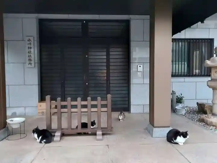 白金氷川神社の動物