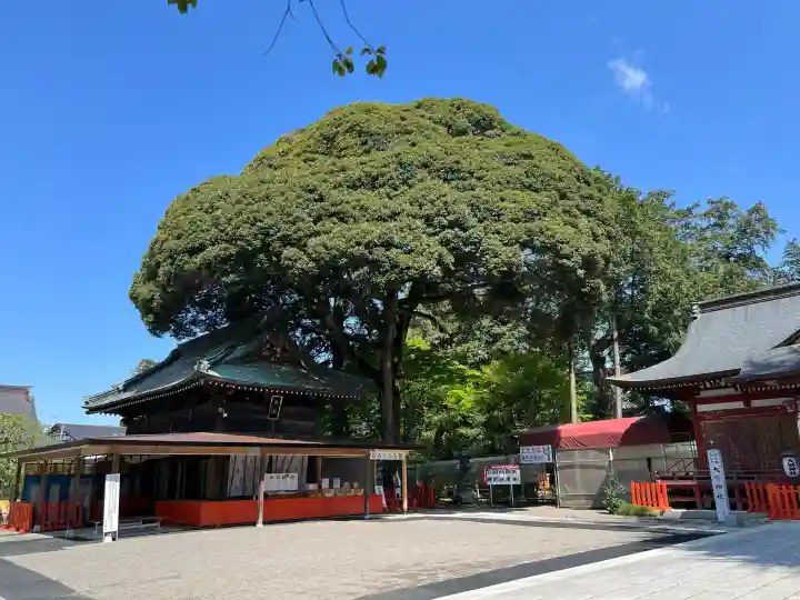 大前神社の{uncategorized: "未分類", other: "その他", undefined: "問題あり", building: "その他建物", grave: "お墓", sacred_gate: "鳥居", guardian: "狛犬", statue: "像", buddha: "仏像", history: "歴史", nature: "自然", garden: "庭園", animal: "動物", pagoda: "塔", temizu: "手水舎", mountain_gate: "山門・神門", sanctuary: "本殿・本堂", subordinate: "末社・摂社", art: "芸術", scenery: "景色", jizo: "地蔵", ema: "絵馬", goshuin: "御朱印", omikuji: "おみくじ", items: "授与品その他", amulet: "お守り", goshuincho: "御朱印帳", eats: "食事", festival: "お祭り", votive_dance: "神楽", shichigosan: "七五三参", wedding: "結婚式", experience: "体験その他", initially: "初詣", around: "周辺", anti_infection: "感染症対策"}