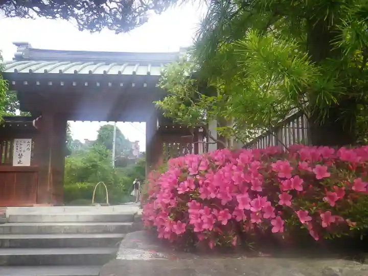 大巧寺の山門・神門