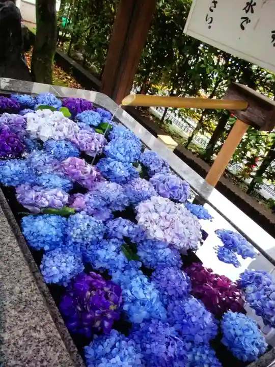 桜神宮(東京都)