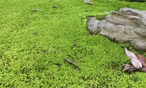 御前神社の自然