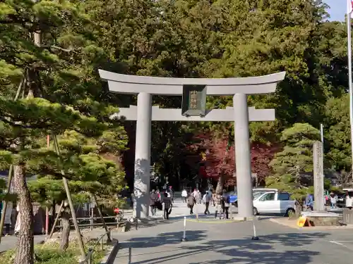 小國神社の鳥居