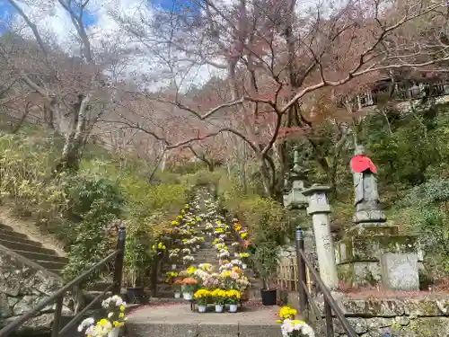 長谷寺(奈良県)