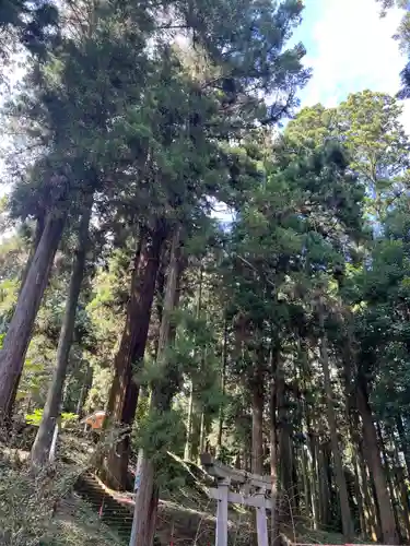 大宮温泉神社(栃木県)