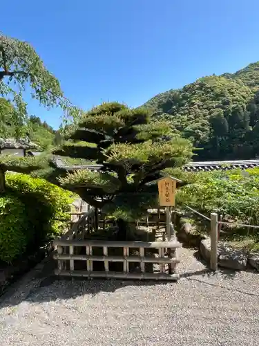 長谷寺(奈良県)