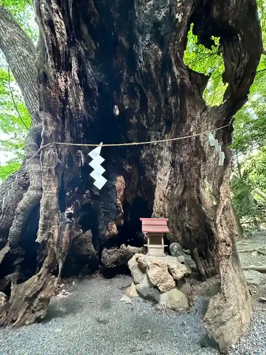 來宮神社(静岡県)