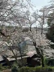 榛名神社(東京都)