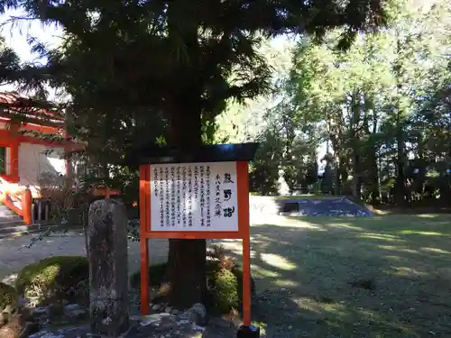 熊野速玉大社(和歌山県)