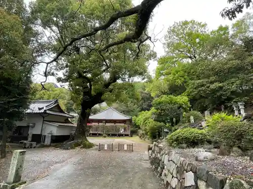 観音寺(香川県)