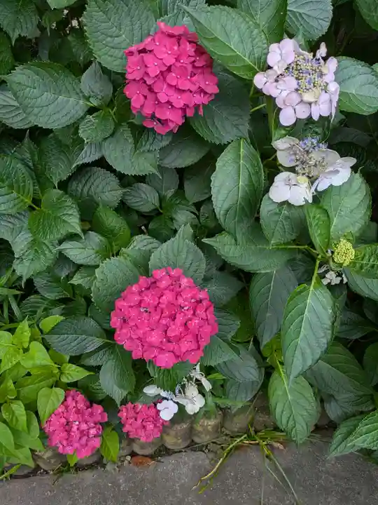 御霊神社の自然