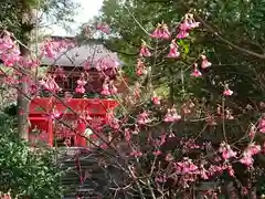 六所神社の自然