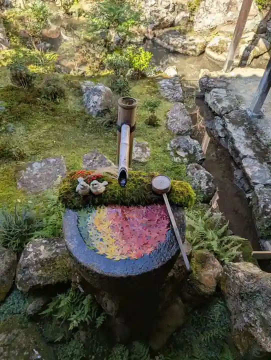 柳谷観音 楊谷寺(京都府)