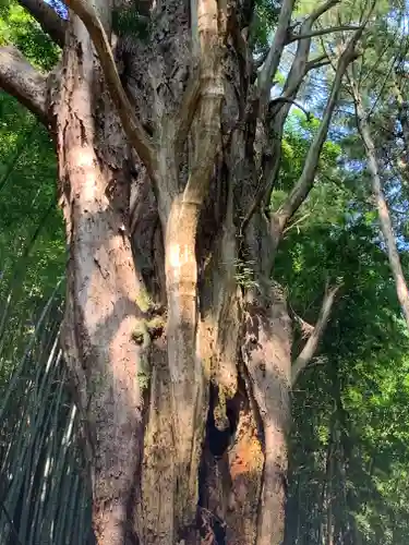揚源寺(栃木県)