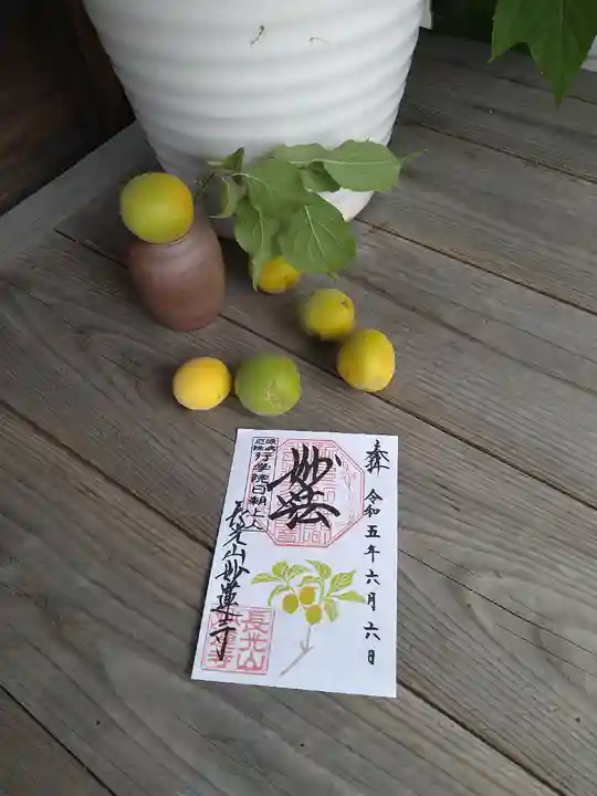 妙蓮寺(神奈川県)