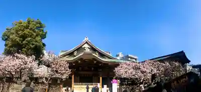 湯島天満宮の本殿・本堂