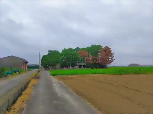 稲荷社（小栗町）の自然