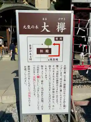 鎮守氷川神社(埼玉県)