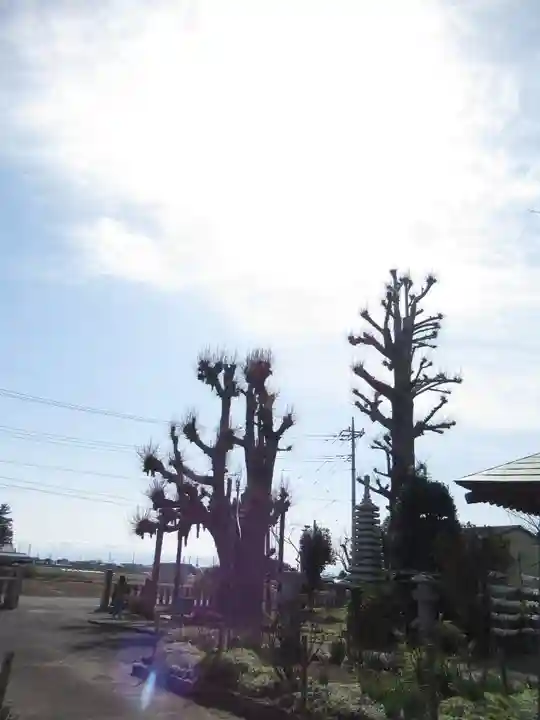 新長谷寺(八町観音)のその他建物