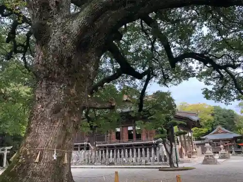 大原八幡宮(大分県)