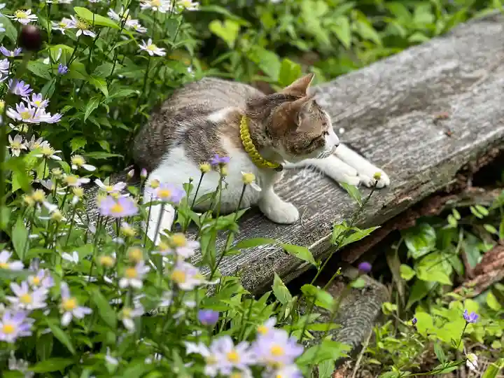 修那羅山安宮神社(長野県)