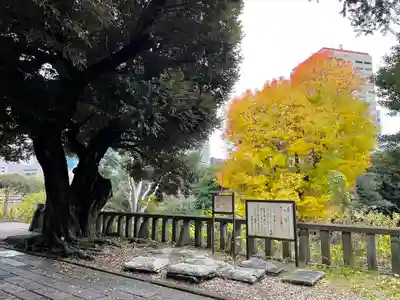 湯島聖堂(東京都)