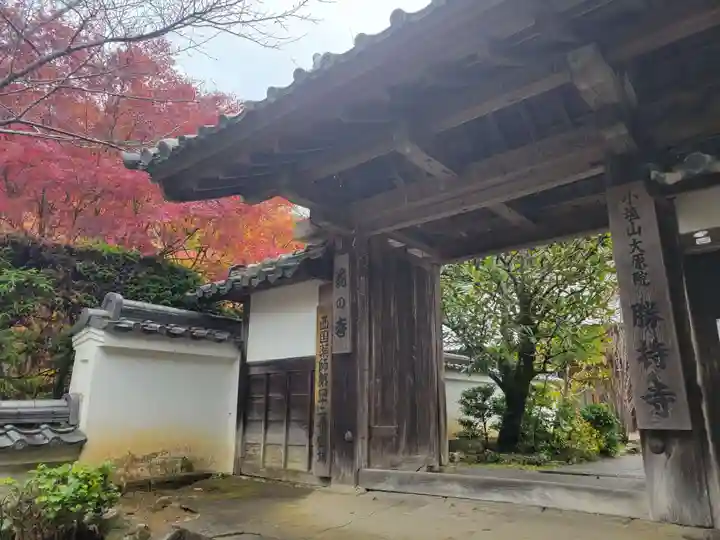 勝持寺(花の寺)の山門・神門
