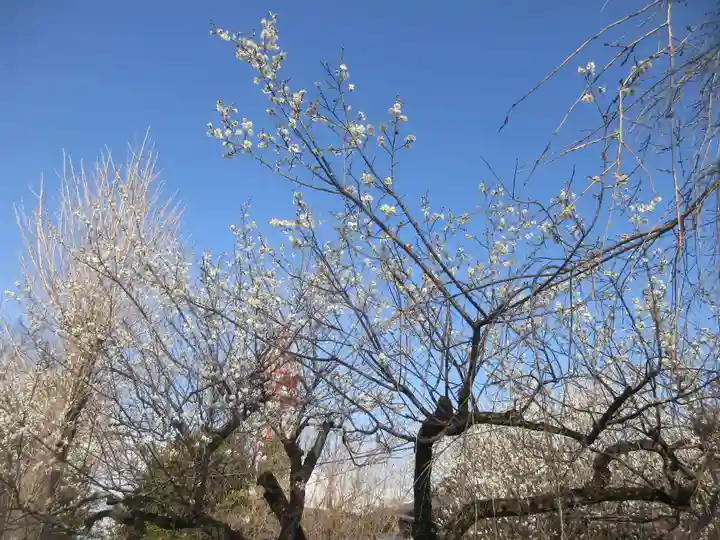 國分寺(茨城県)