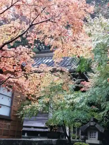 五所駒瀧神社の自然