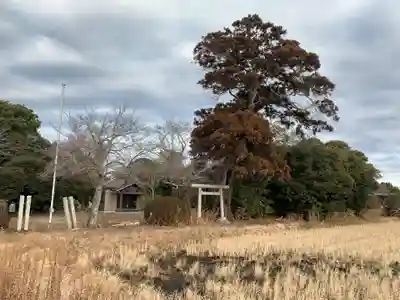 保食神社(千葉県)