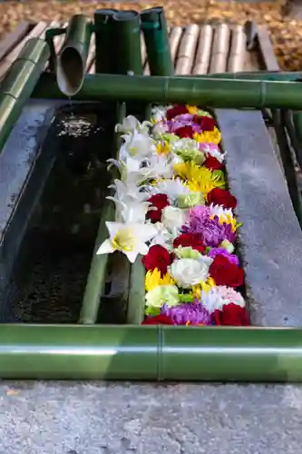 水無瀬神宮(大阪府)