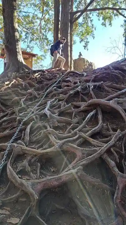 武蔵御嶽神社の自然