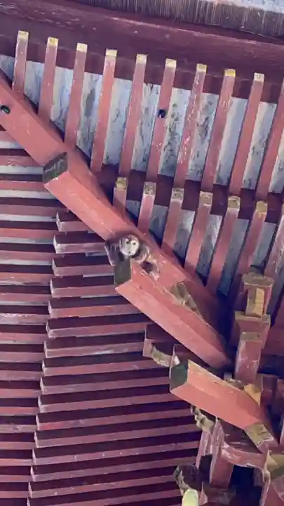 日吉大社のその他建物