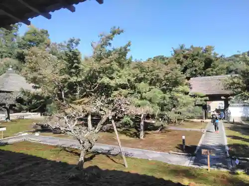 長壽寺（長寿寺）の庭園