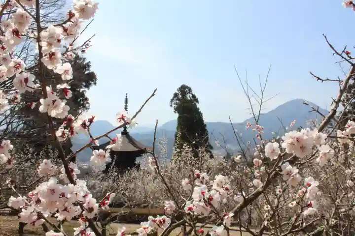 国宝 大法寺の自然
